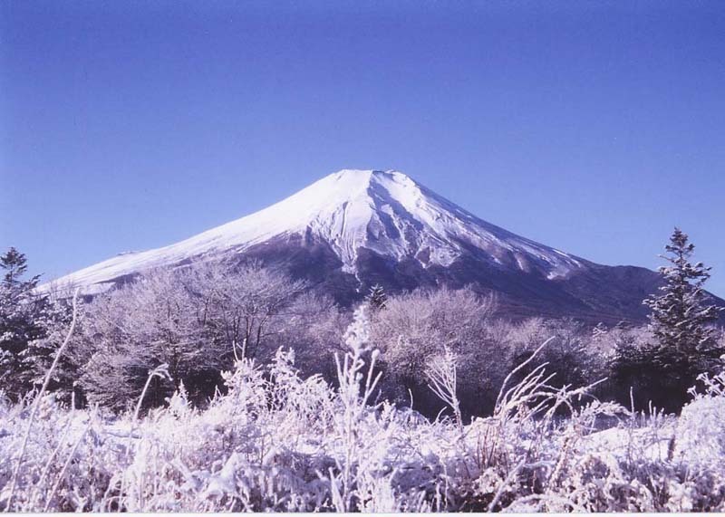 富士山画像作品