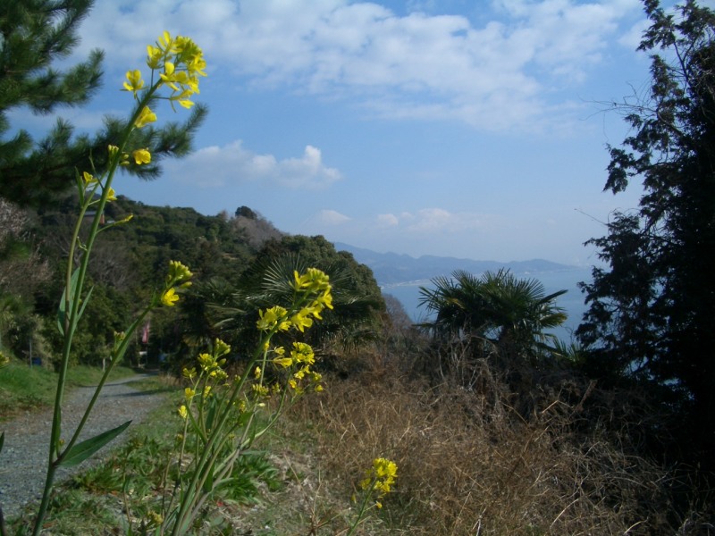 富士山周辺風景