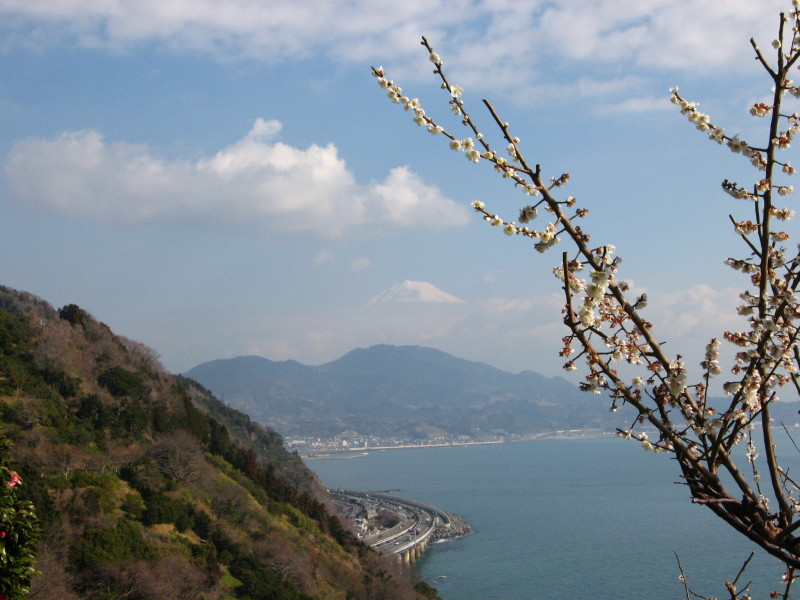 富士山画像記録