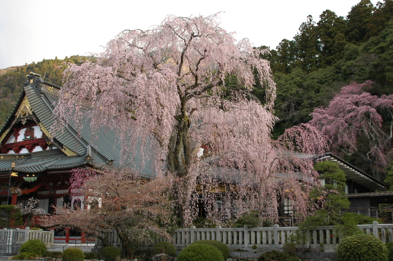 風景一般