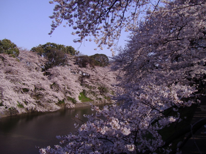 風景一般