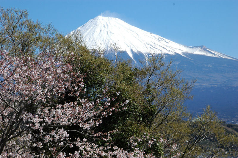 富士山画像作品