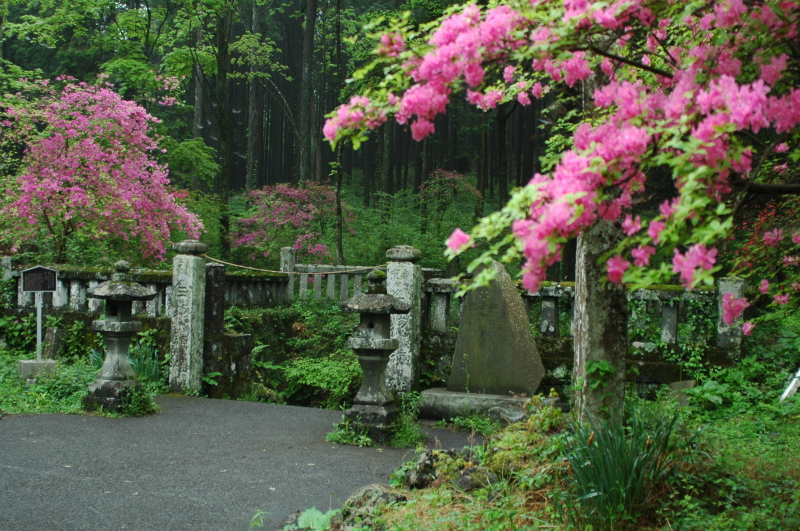 富士山周辺風景