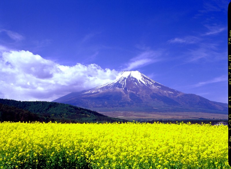 富士山画像作品