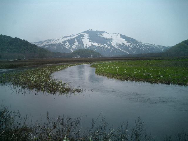 風景一般