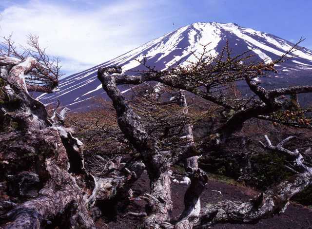 富士山画像作品