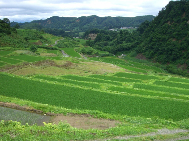 風景一般