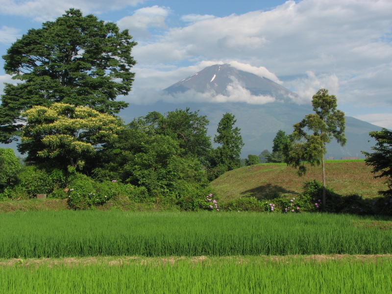 富士山画像記録