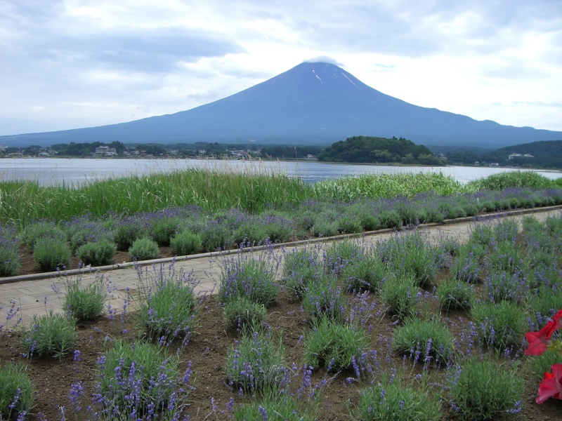 富士山画像記録