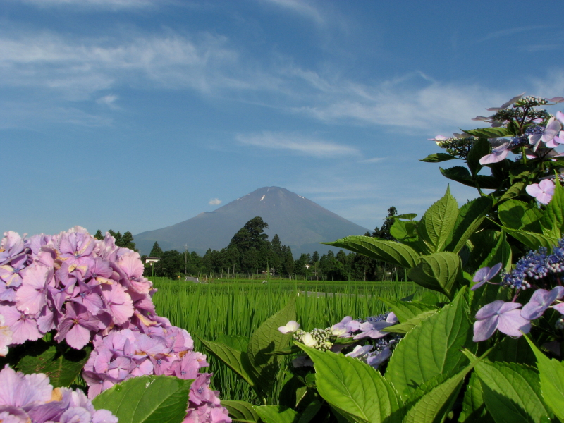 富士山画像記録