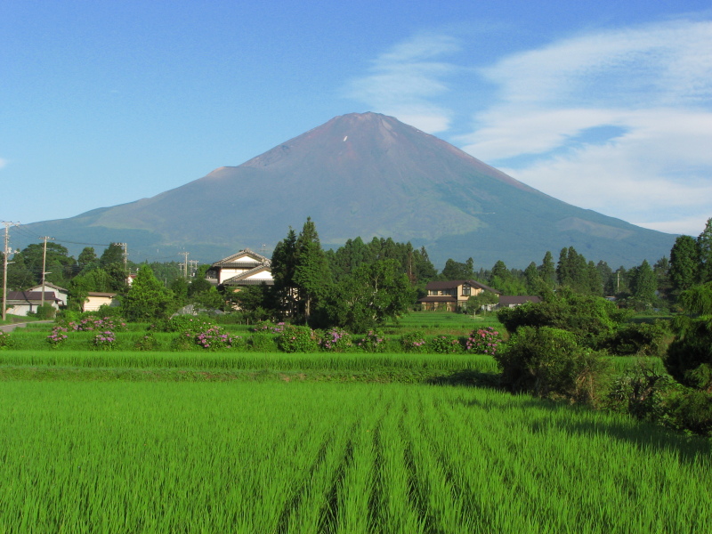 富士山画像記録