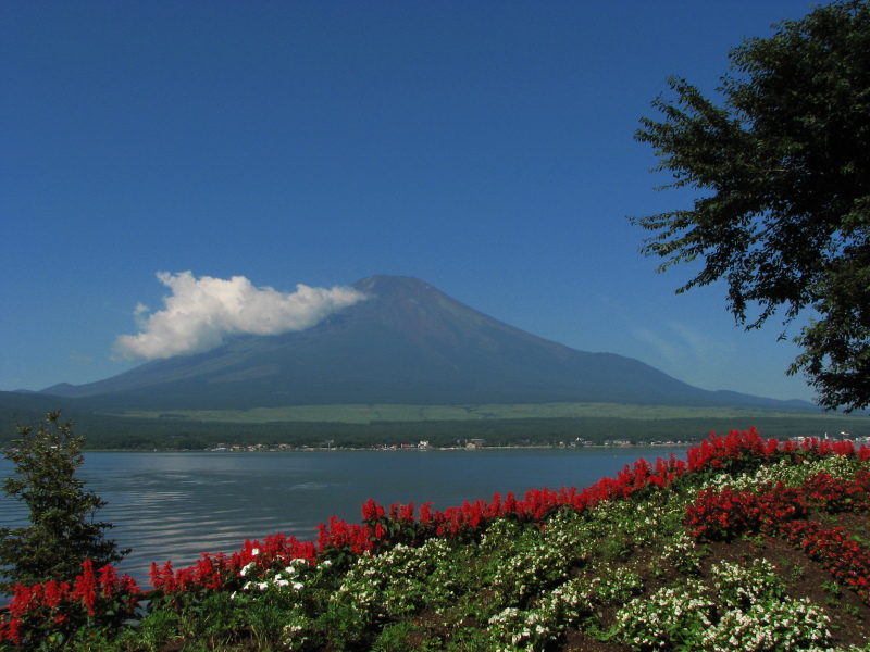 富士山画像記録