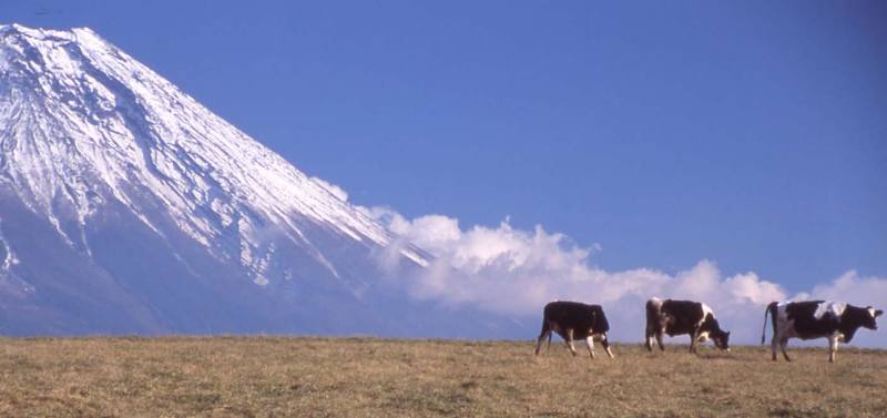 富士山画像作品