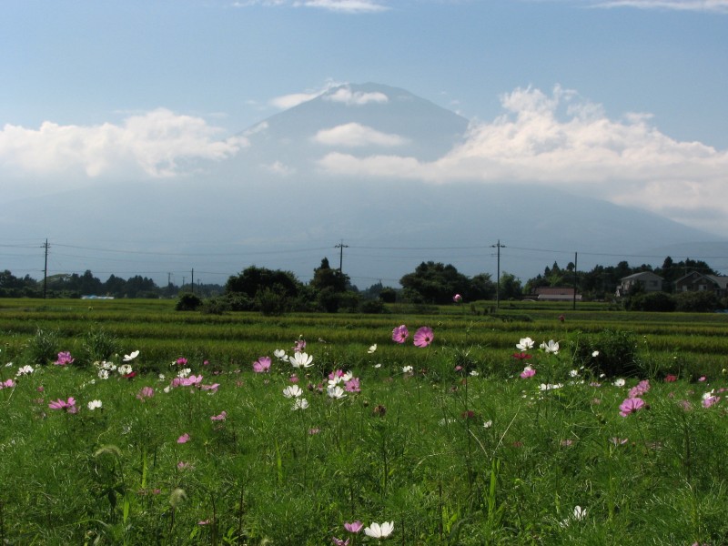 富士山画像記録