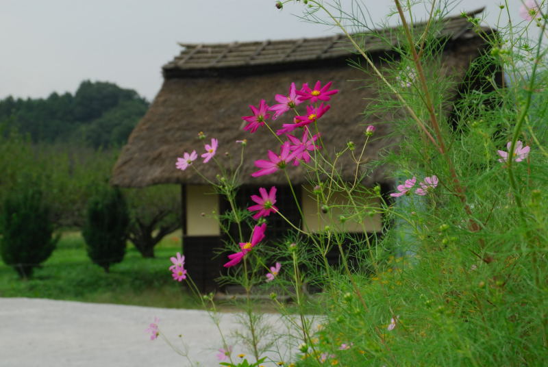 風景一般