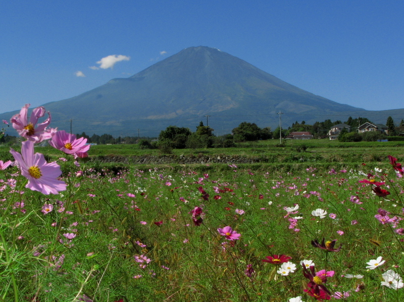 富士山画像記録