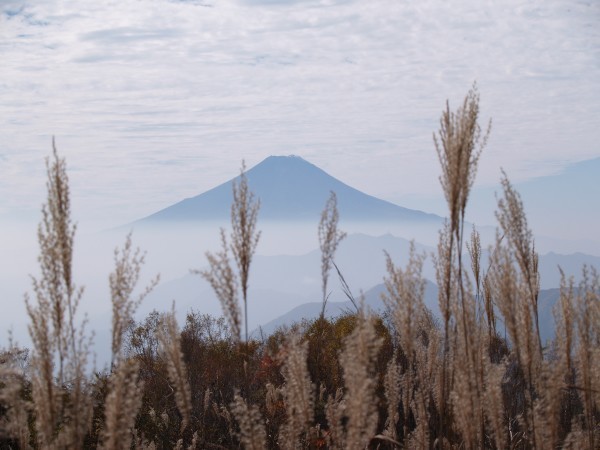 富士山画像作品