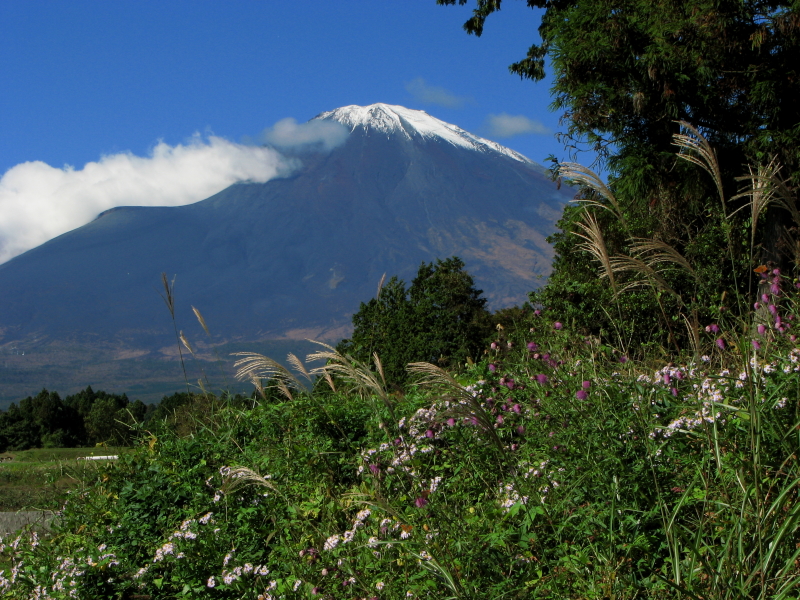 富士山周辺風景