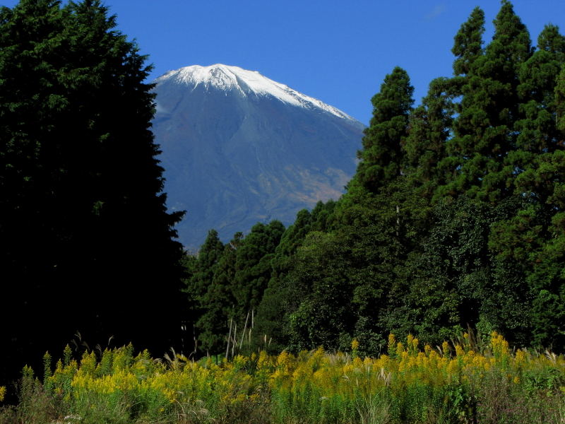 富士山周辺風景