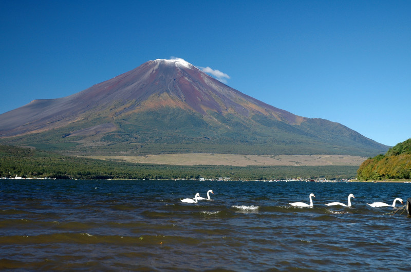 富士山画像作品