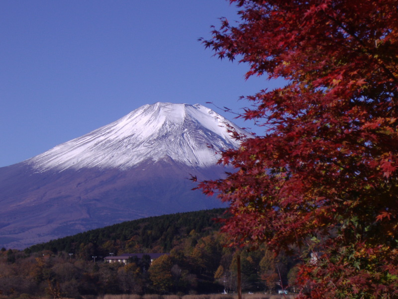 富士山画像記録