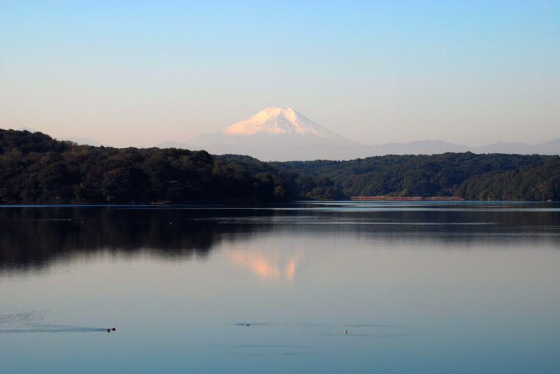 富士山画像作品