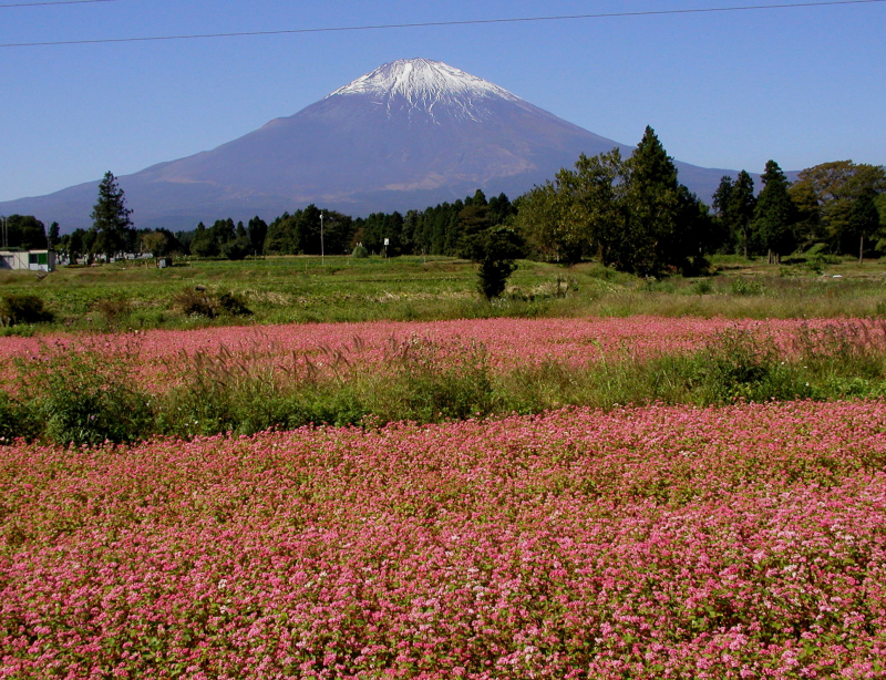 富士山画像記録