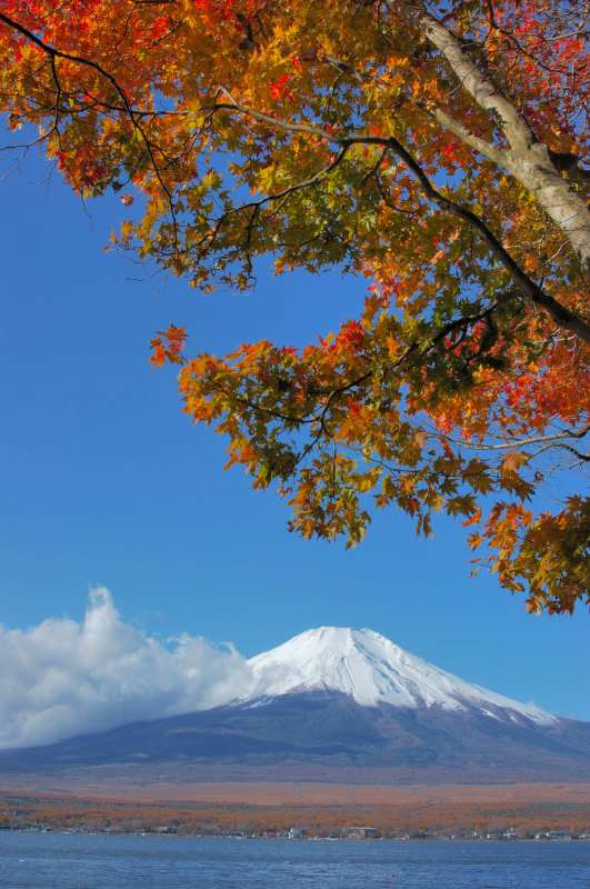 富士山画像作品