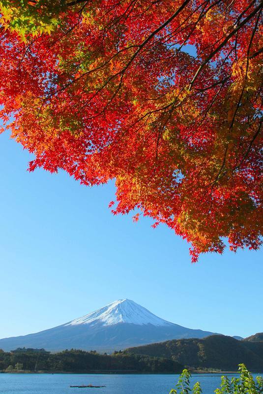 富士山画像作品