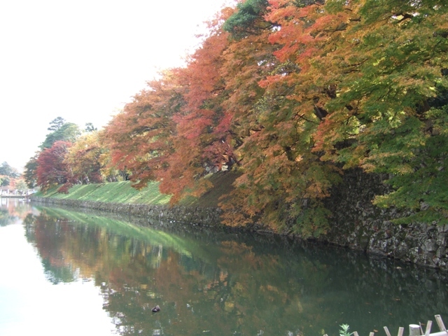 風景一般