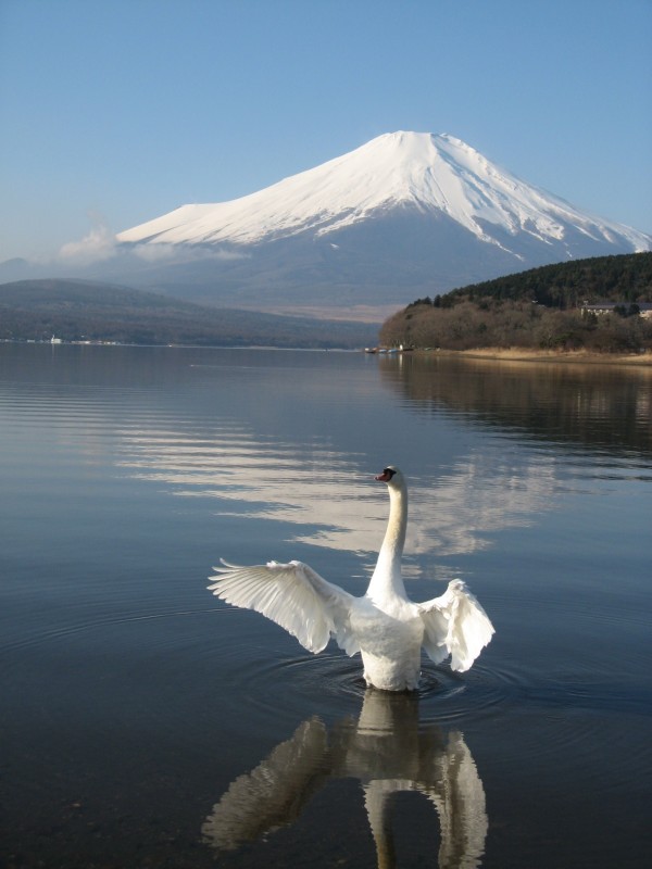 富士山画像記録