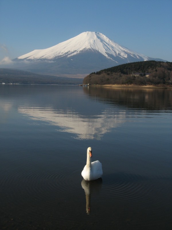 富士山画像作品