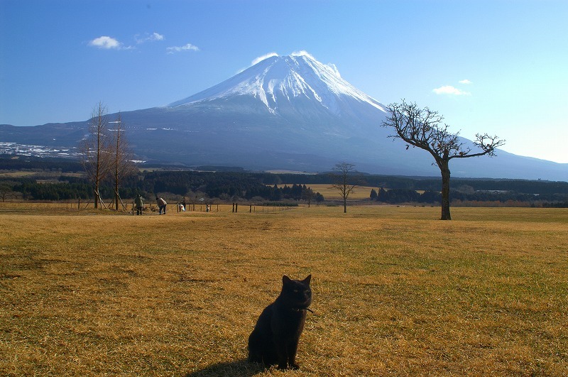 富士山画像記録