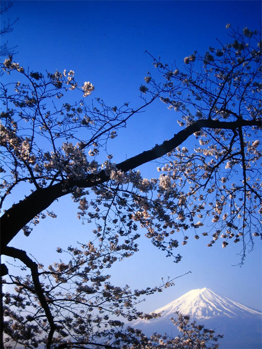 富士山画像作品