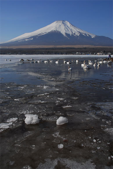 富士山画像作品