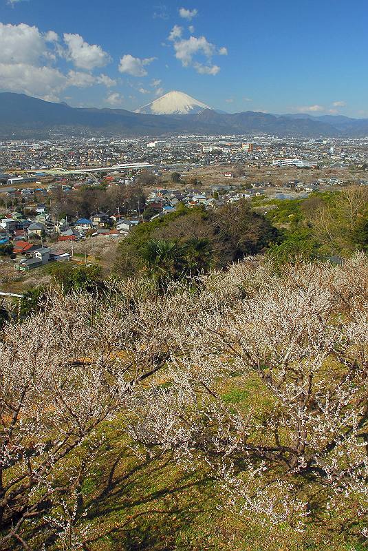 富士山画像作品