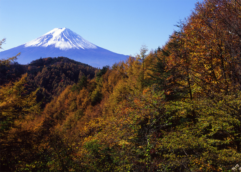 富士山画像記録