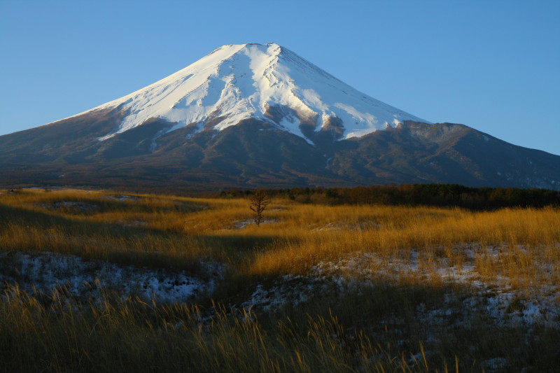 富士山画像記録