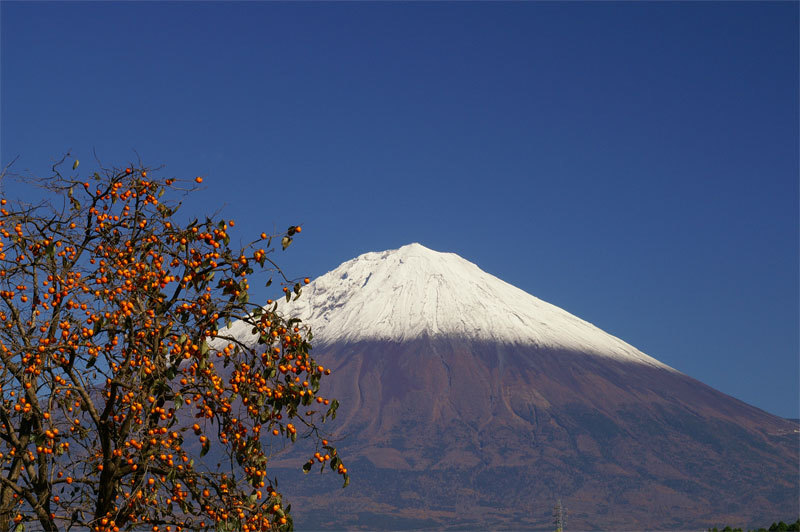 富士山画像記録