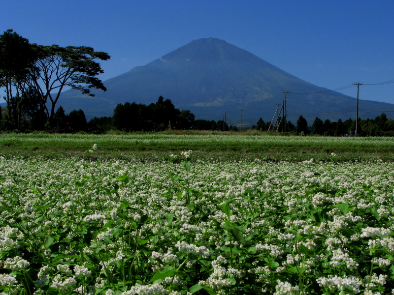 富士山画像記録