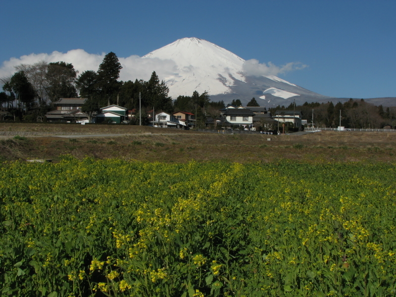 富士山画像記録