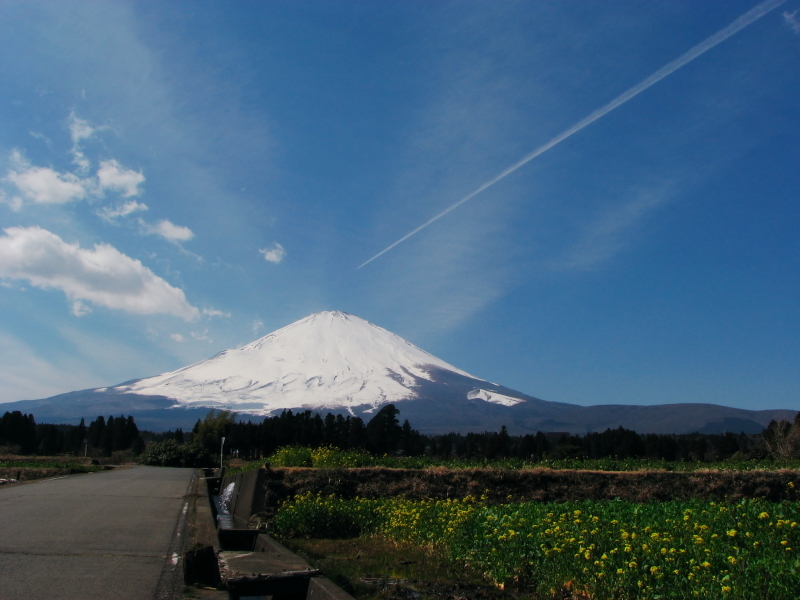 富士山画像記録