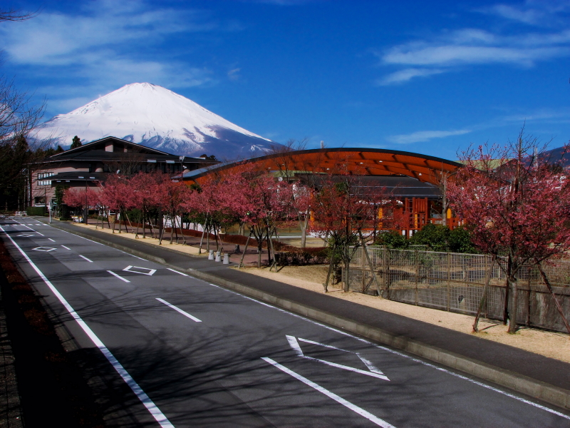 富士山画像記録