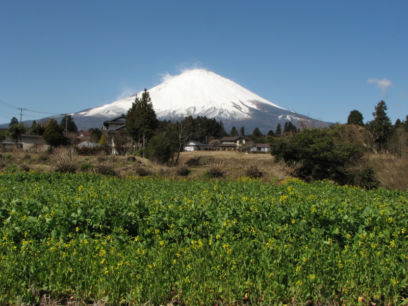 富士山画像記録