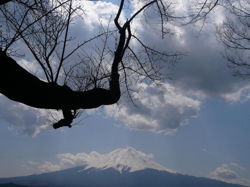 富士山画像作品