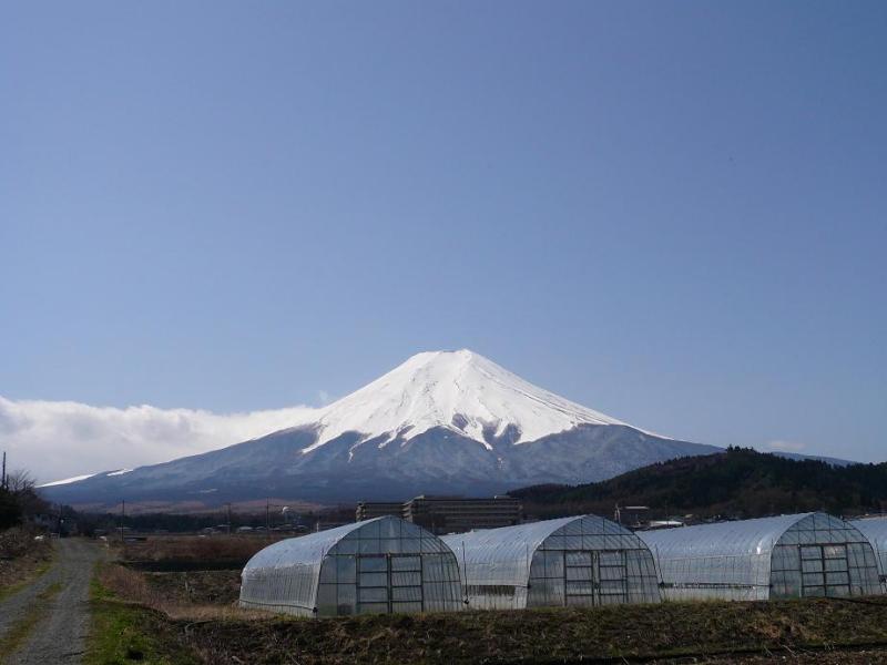 富士山画像作品