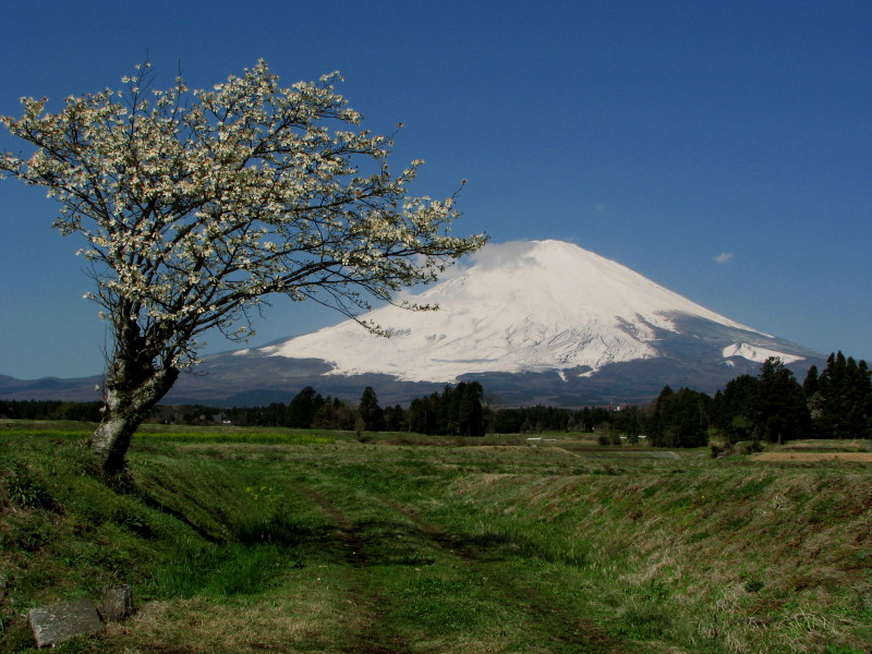 富士山画像記録