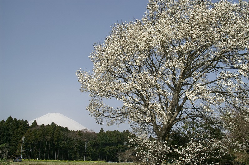 富士山画像記録