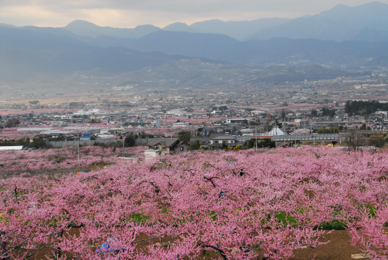 富士山周辺その他