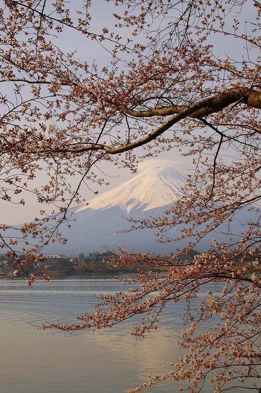 富士山画像作品